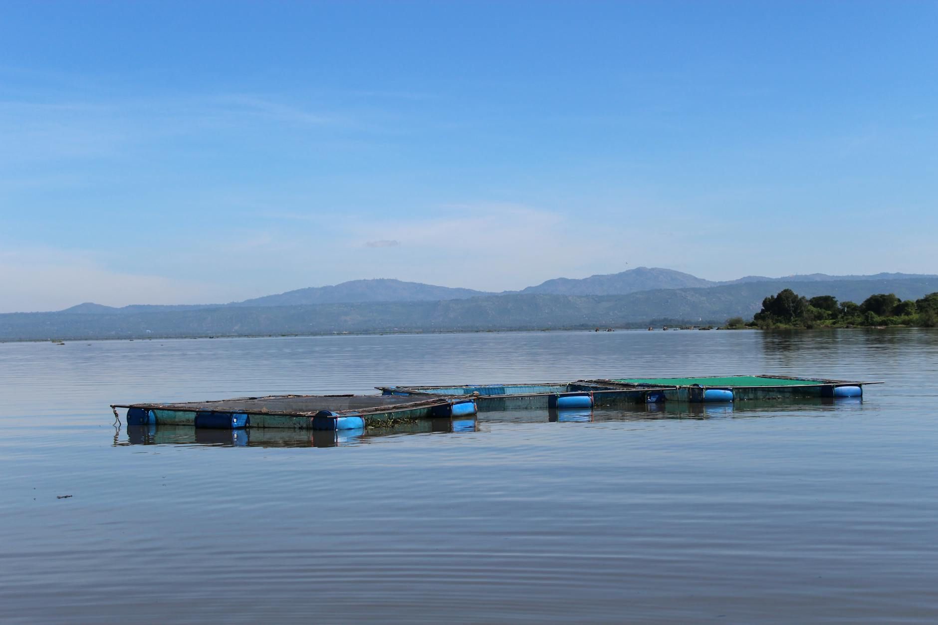 Lake Victoria Reflections - 3